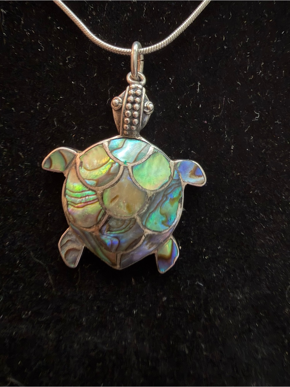 Turtle necklace , silver and abalone